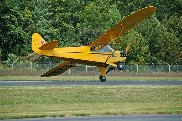 Yellow Plane 1